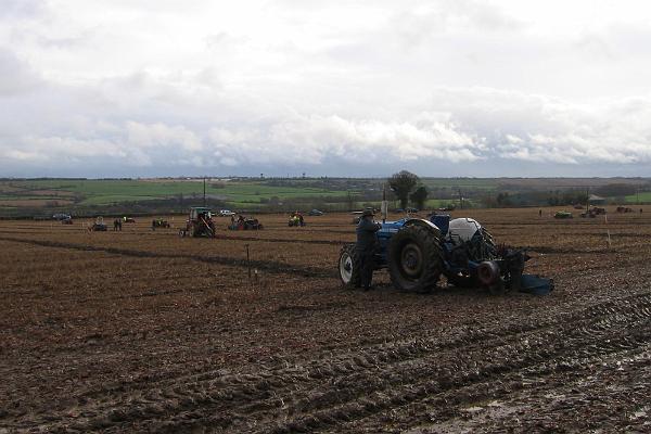 Ploughing 4.jpg